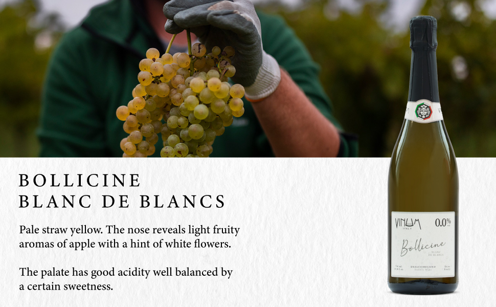 Bollicine White – Bottle of dealcoholized wine