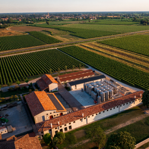 Bollicine White – Bottle of dealcoholized wine