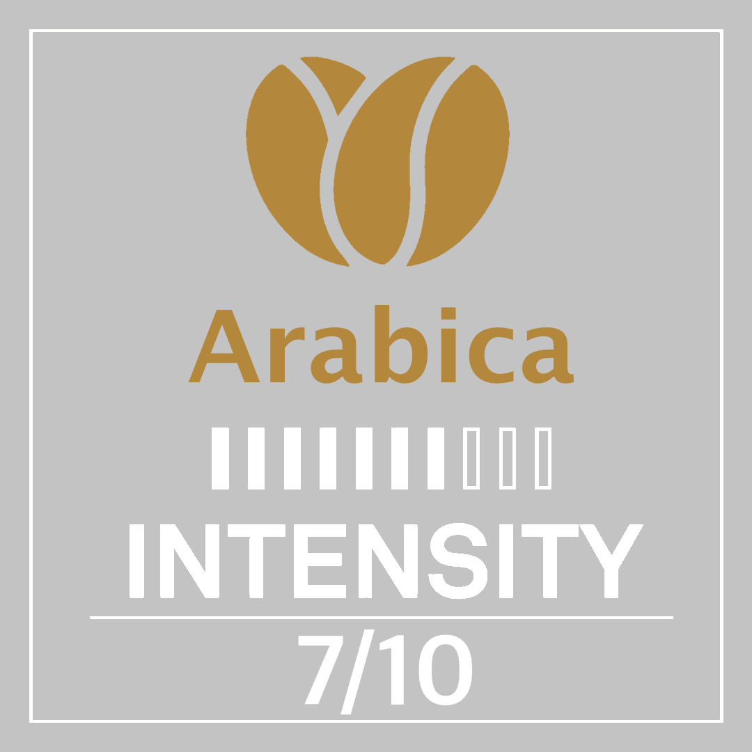 Arabica 100 Regular capsules Arabica 100 Regular capsules
