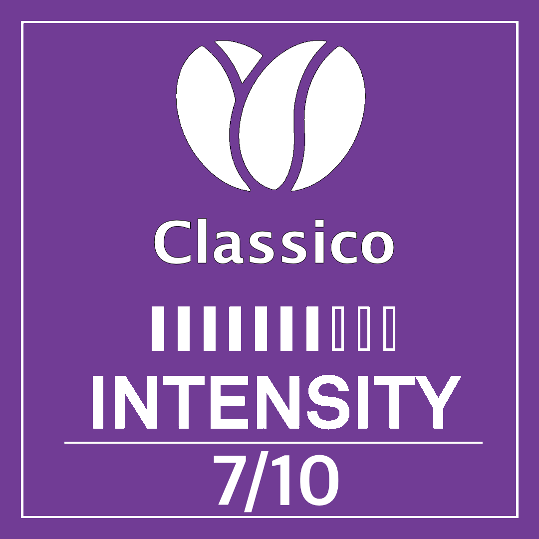 Classico 180 Senseo pads