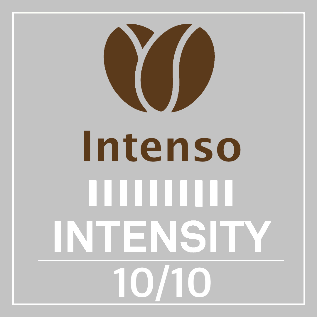 Intenso 100 regular capsules Intenso 100 regular capsules