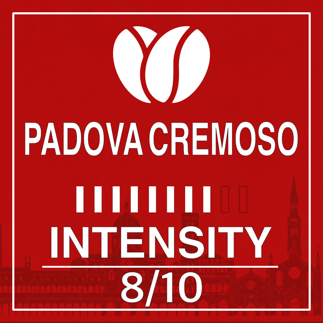 Padova 100 capsules en aluminium Padova 100 capsules en aluminium